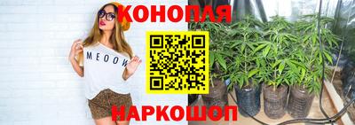 дживик Аргун