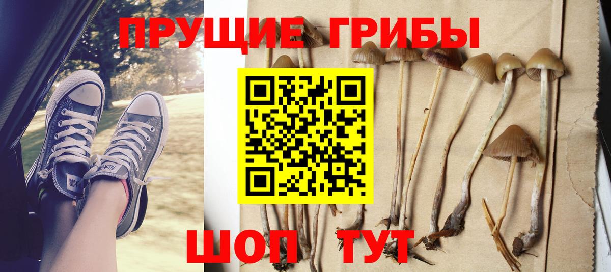 Галлюциногенные грибы мицелий Белореченск