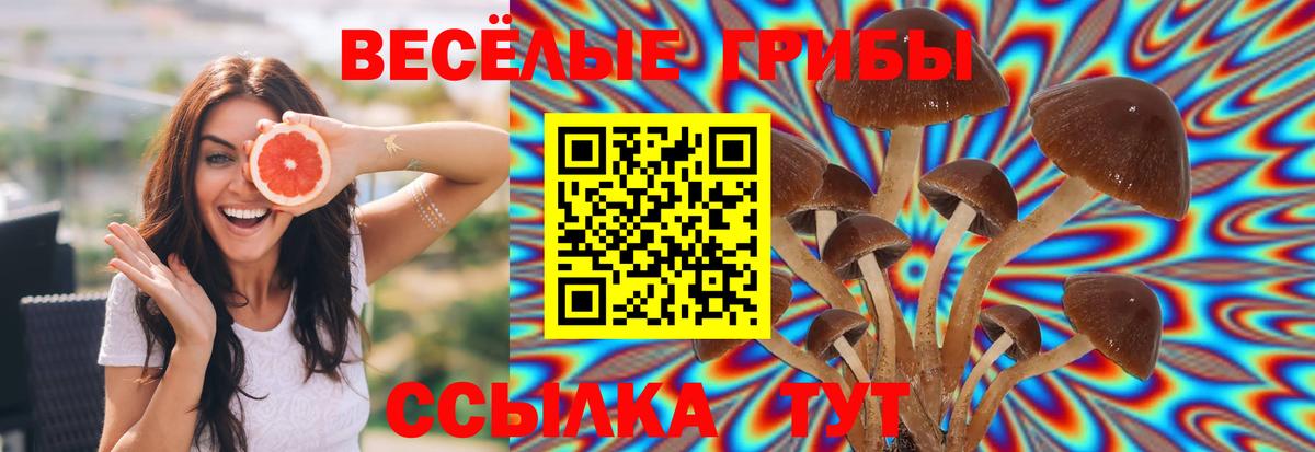 Псилоцибиновые грибы Cubensis  Псилоцибиновые грибы мухоморы  где найти наркотики  Белореченск  Вход с VPN 