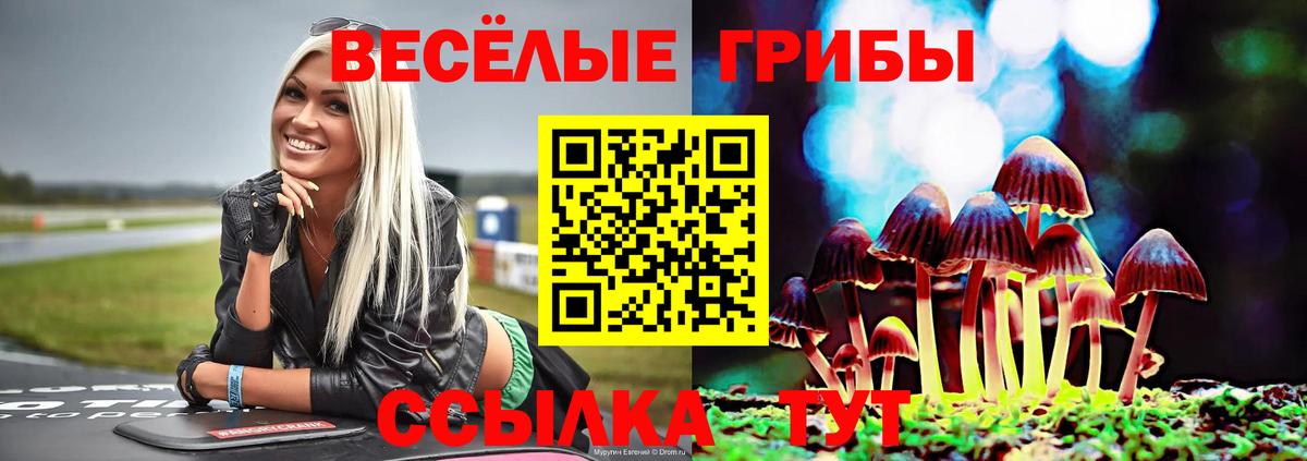 Псилоцибиновые грибы ЛСД  Псилоцибиновые грибы Magic Shrooms  Белореченск 